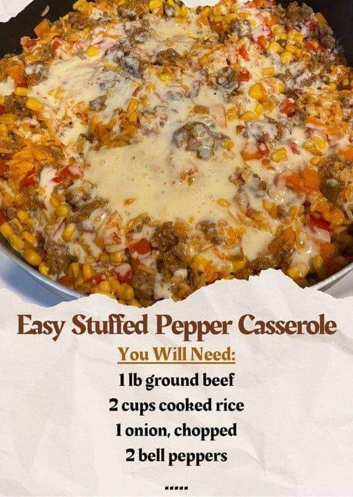 a-culinary-hit-unstoppable-cheesy-beef-and-rice-casserole-recipes